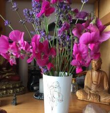 Op bezoek bij Lies…