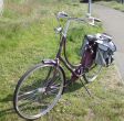 One to have Batavus!!!!