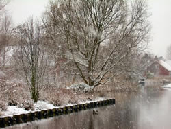 Wandeling in wit winterland